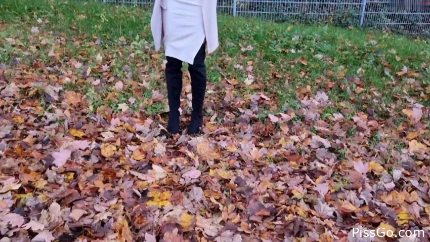 Pippi and Ziggi at the public rest area (2025|MPEG-4) relieving, 122 MB - bladder zone field - HaneyNanny