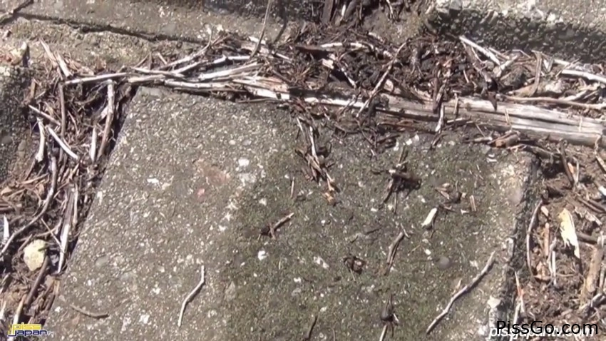 Pair Girls Lift And Flow 2025