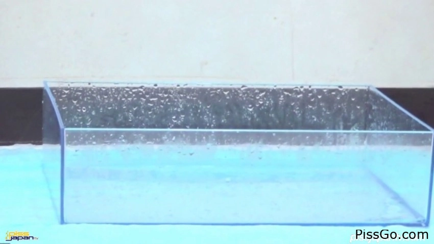 Secretary Need To Piss (2025|MPEG-4) cozy pee, 526 MB - taboo outdoor peeing