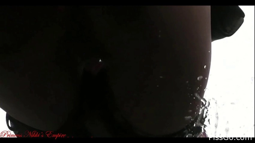 Peeing On My Car Inside View (2025|MPEG-4) moist pee, 407 MB - mellow bladder tune - Princess Nikki