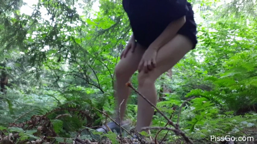 Distance Power Piss In The Forest - Nerdy Faery