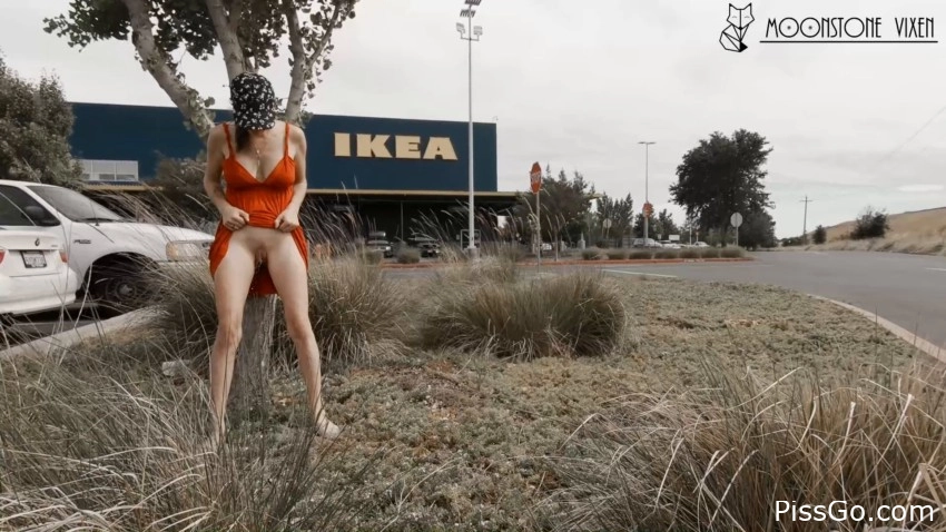 Public Piss Near Road (2025|MPEG-4) pee flow, 180 MB - slut-soaked-ceremony in piss